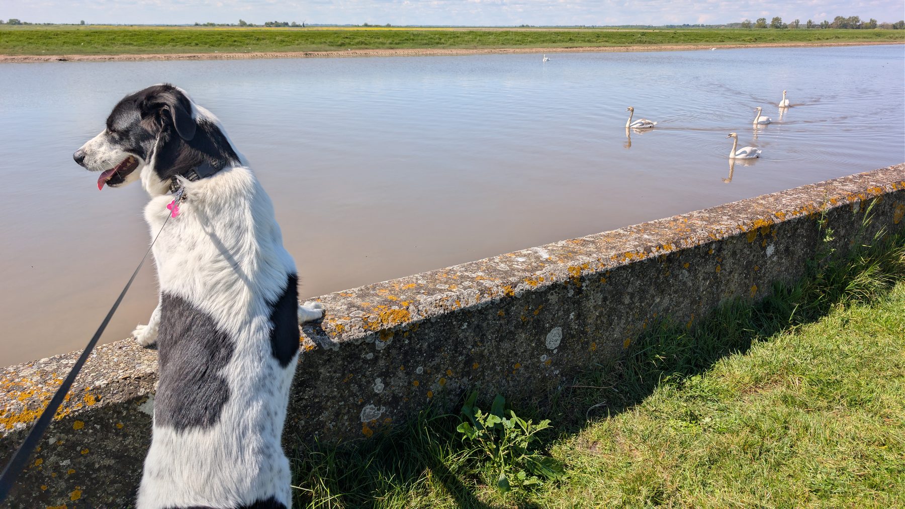 Martha enjoying a riverside walk